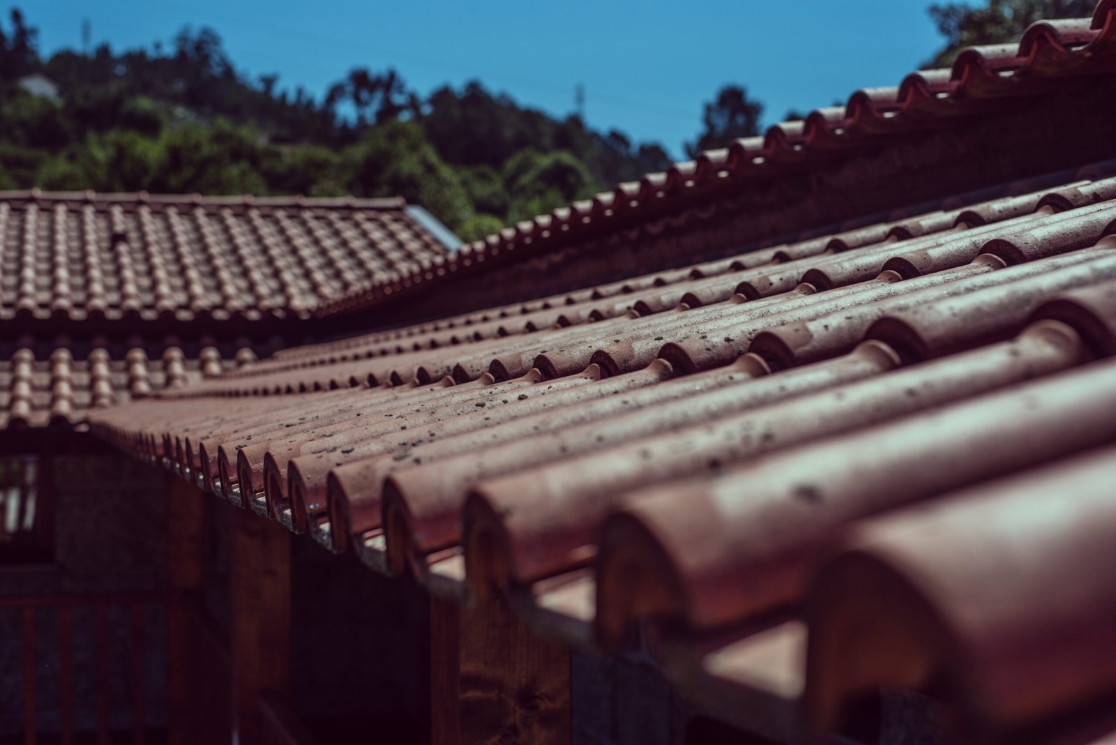 Close-up view of a traditional clay tile roof with a scenic green landscape in the background.